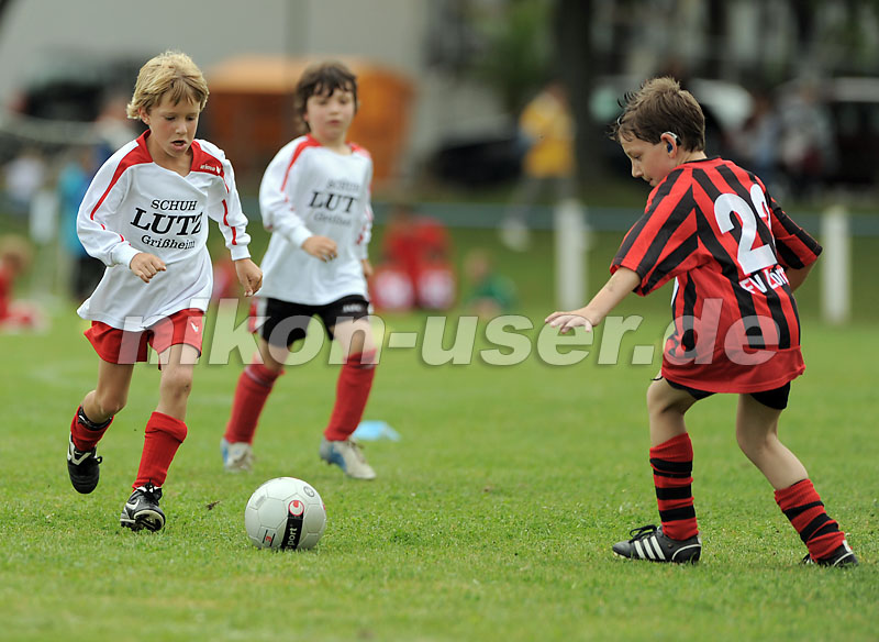 DSC_9133 Kopie
