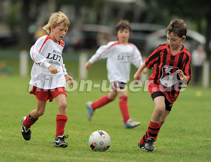 DSC_9134 Kopie