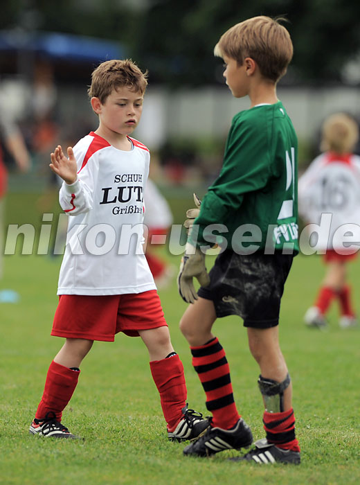 DSC_9135 Kopie