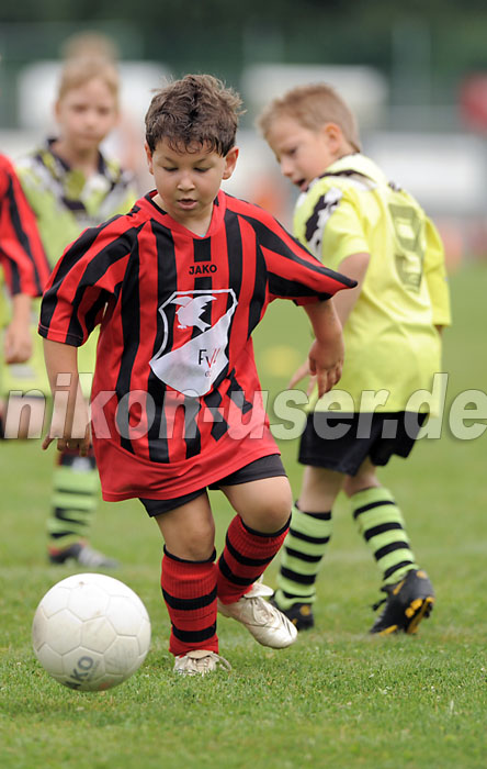 DSC_9138 Kopie