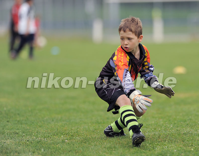 DSC_9142 Kopie