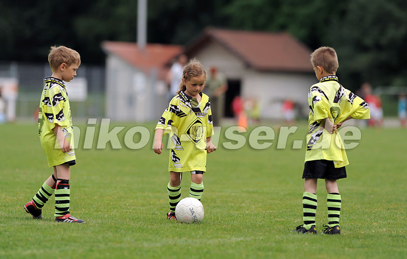 DSC_9145 Kopie