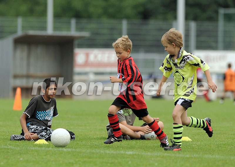 DSC_9146 Kopie