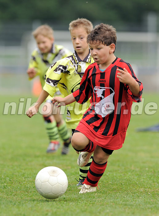 DSC_9147 Kopie