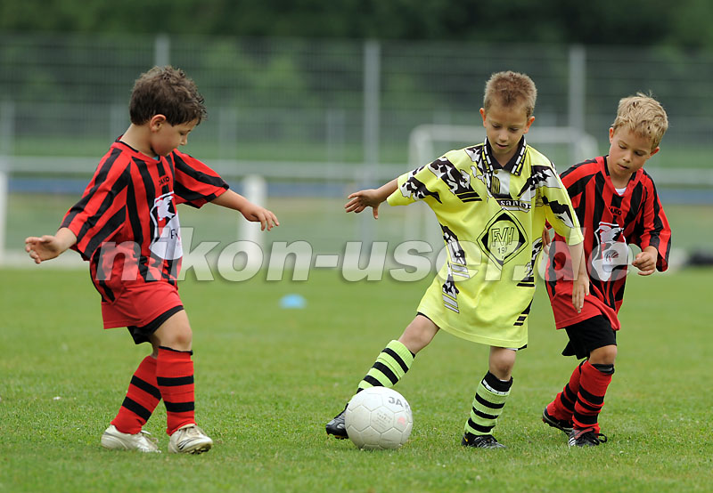 DSC_9150 Kopie