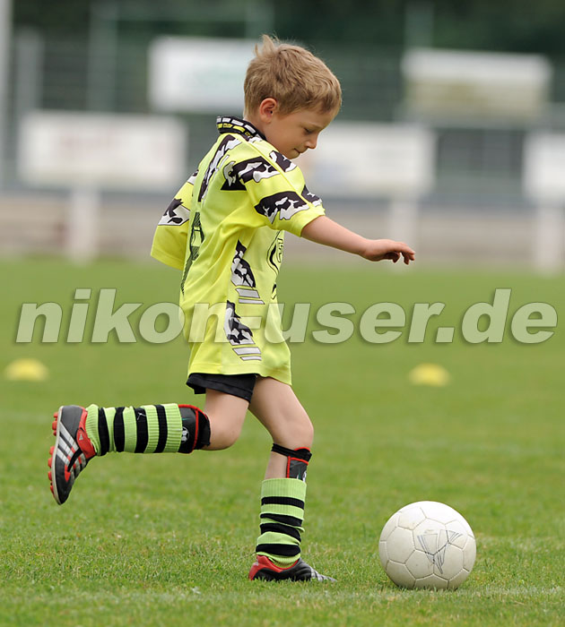 DSC_9151 Kopie
