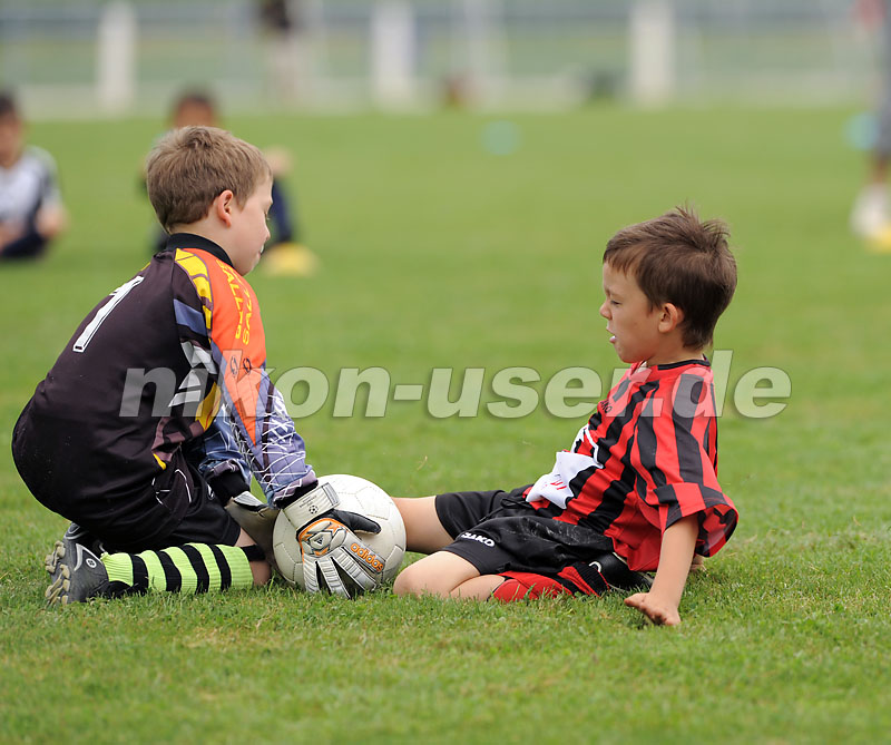 DSC_9163 Kopie