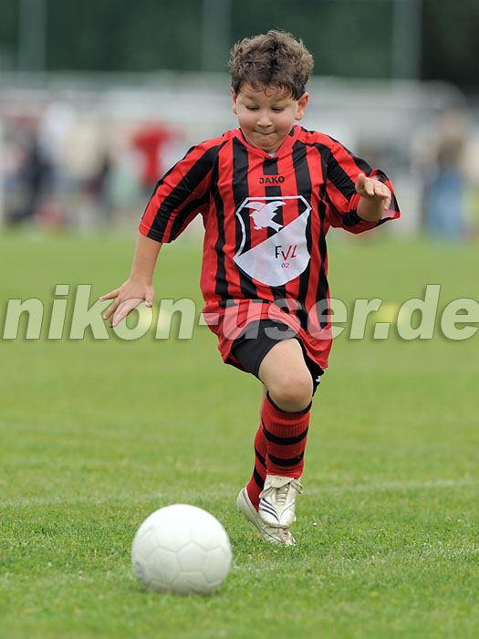 DSC_9174 Kopie