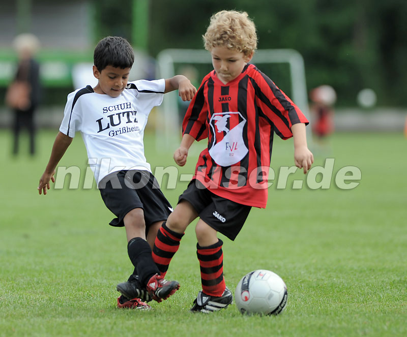DSC_9179 Kopie
