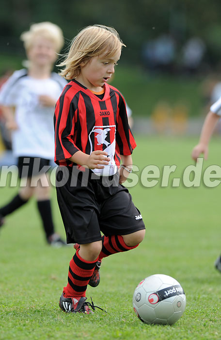DSC_9181 Kopie