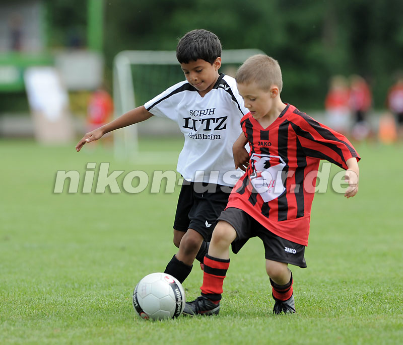 DSC_9186 Kopie