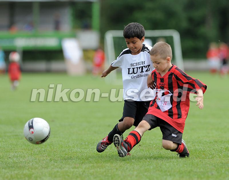 DSC_9187 Kopie