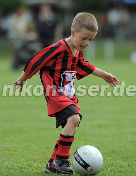 DSC_9193 Kopie