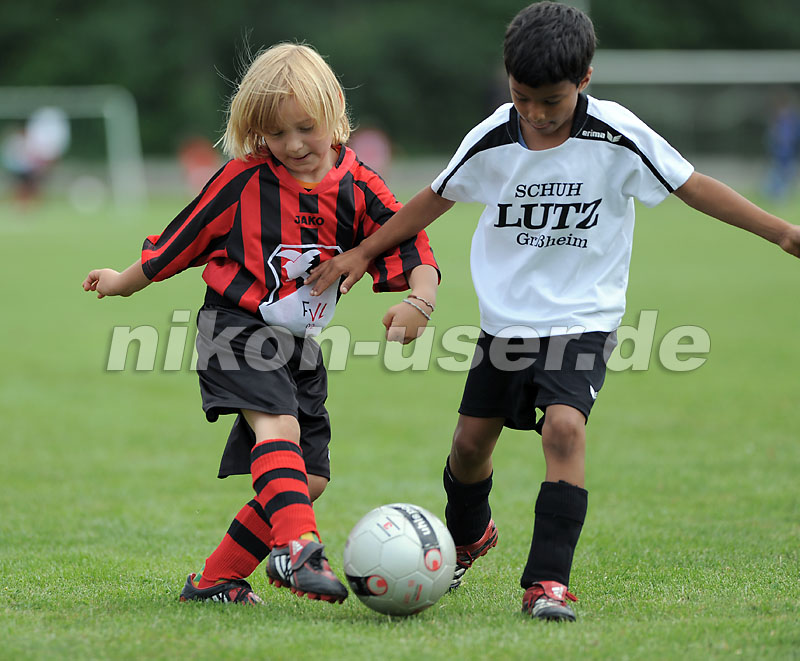 DSC_9194 Kopie