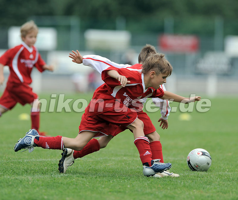 DSC_9223 Kopie