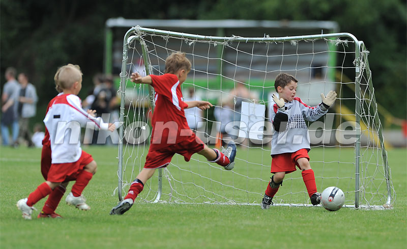 DSC_9227 Kopie