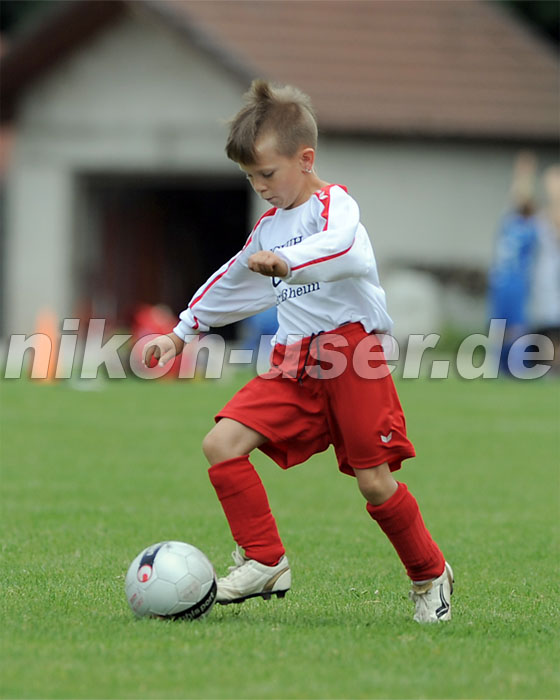 DSC_9231 Kopie