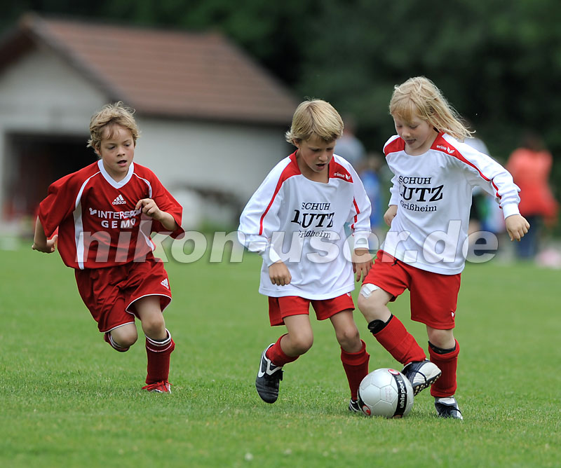 DSC_9238 Kopie