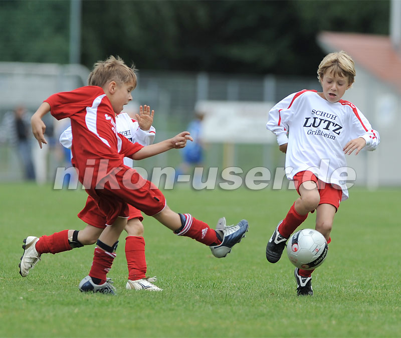DSC_9244 Kopie