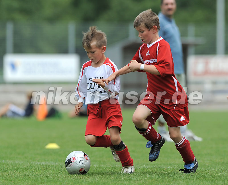 DSC_9251 Kopie