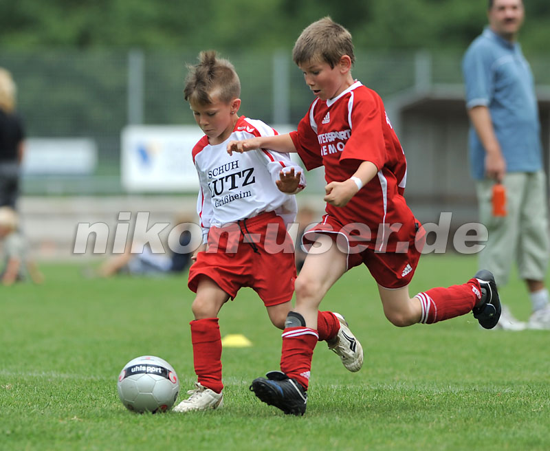 DSC_9252 Kopie