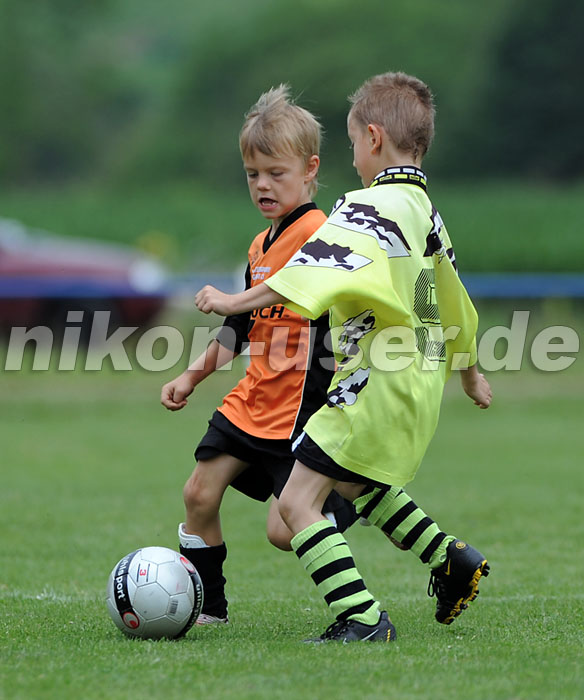 DSC_9265 Kopie