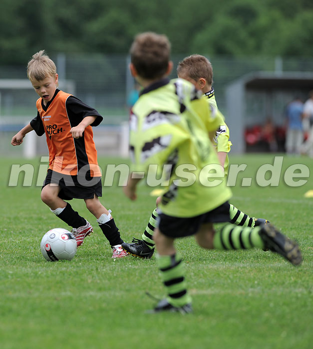 DSC_9280 Kopie