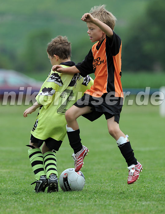 DSC_9283 Kopie