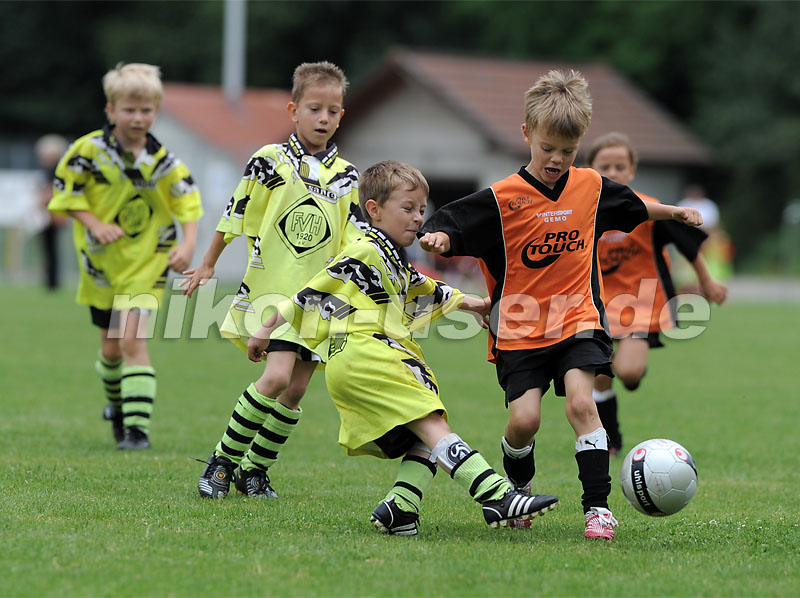 DSC_9287 Kopie