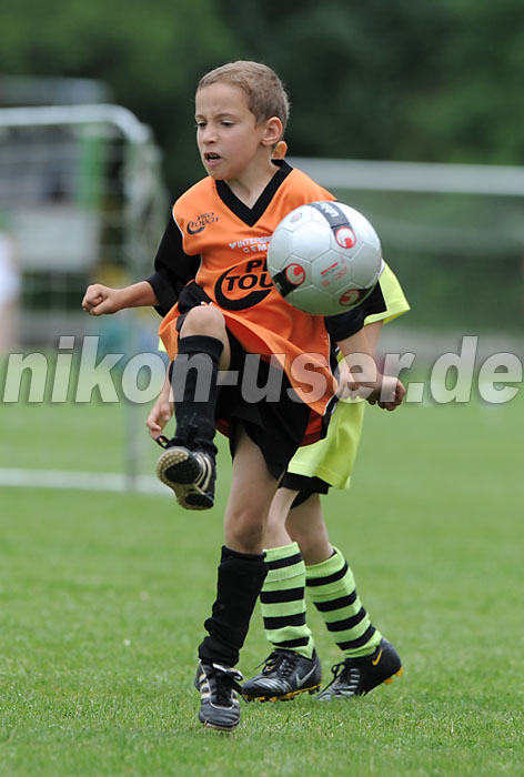 DSC_9288 Kopie