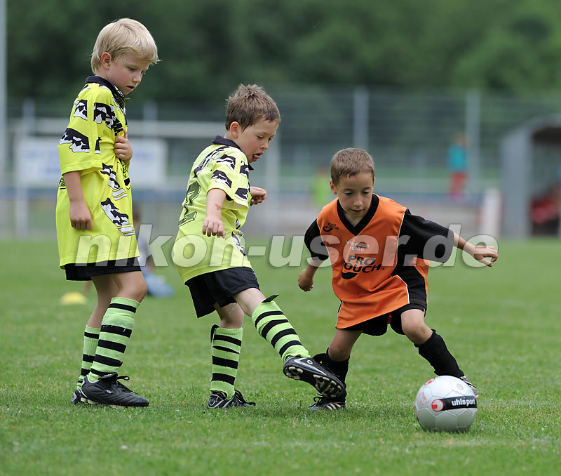 DSC_9291 Kopie