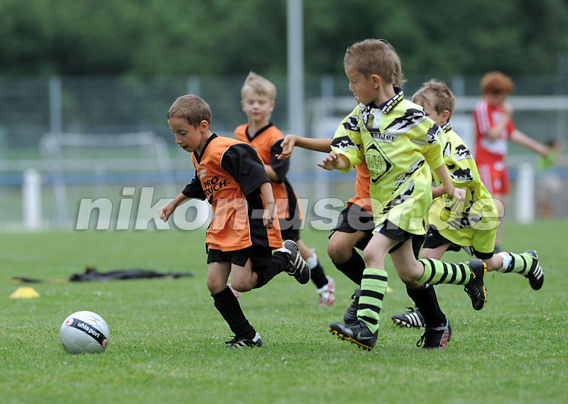 DSC_9294 Kopie