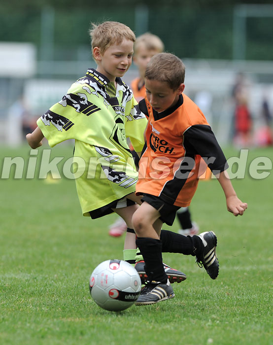 DSC_9306 Kopie