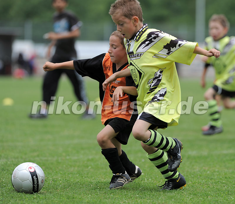 DSC_9308 Kopie