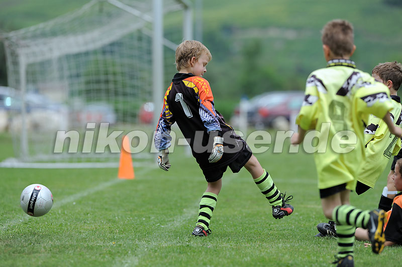DSC_9310 Kopie