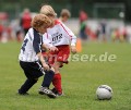 DSC_9004 Kopie