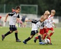 DSC_9013 Kopie