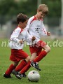 DSC_9019 Kopie