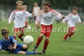 DSC_9035 Kopie