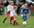 DSC_9040 Kopie
