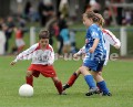 DSC_9048 Kopie
