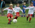 DSC_9060 Kopie