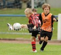 DSC_9087 Kopie