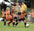 DSC_9093 Kopie