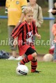 DSC_9097 Kopie
