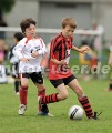 DSC_9117 Kopie