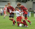 DSC_9119 Kopie