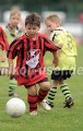 DSC_9138 Kopie