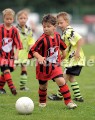 DSC_9139 Kopie