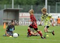 DSC_9146 Kopie